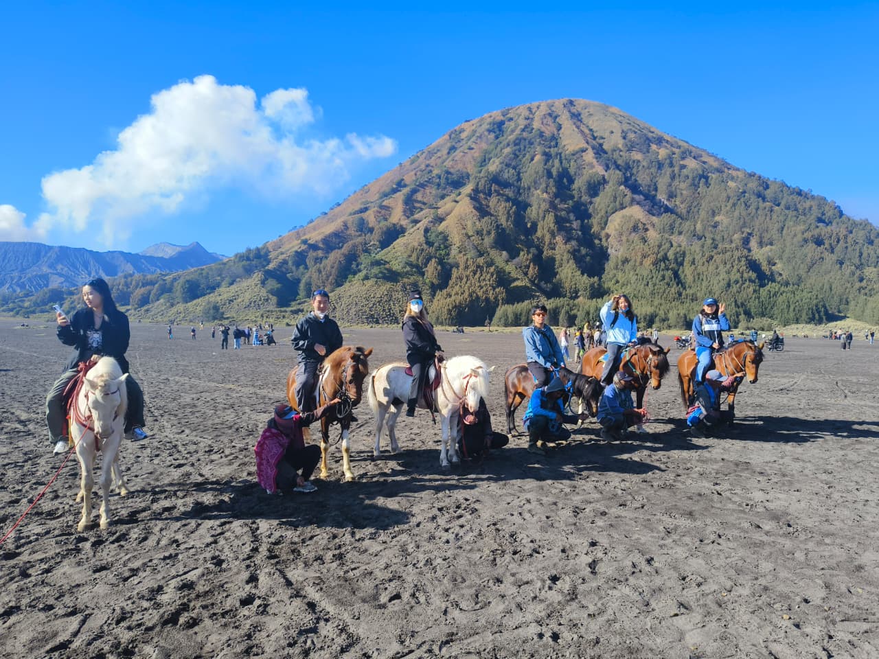 WhatsApp Image 2026-03-18 at 12.55.36